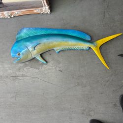 Mahi Mahi Taxidermy 