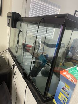 80% new 60 gallon fishtank