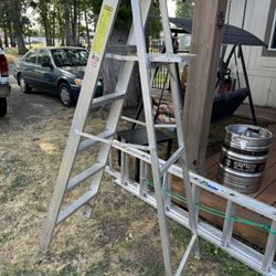 Ladders For Sale 