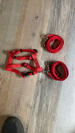 Dog harness, and leash 🐕 