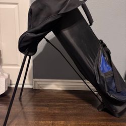 Wilson Golf Club Bag