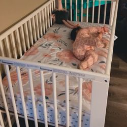 Baby Crib