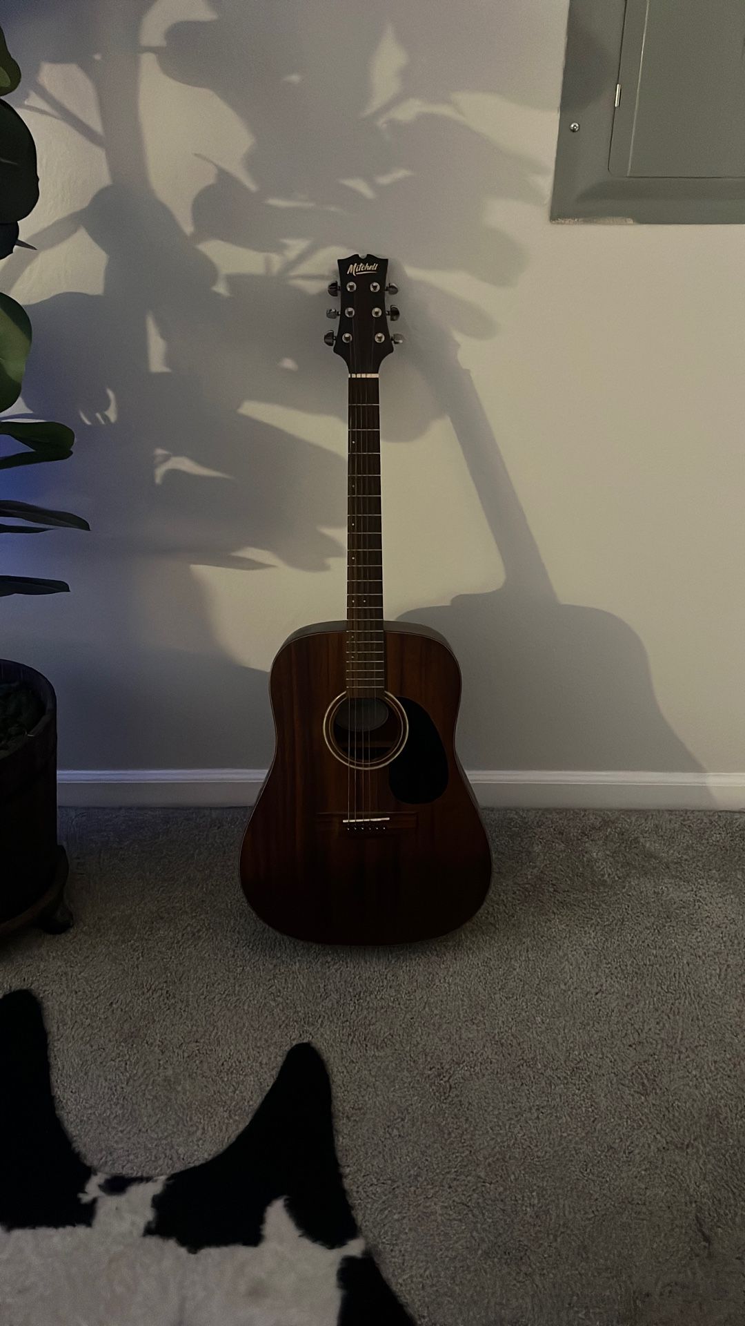 Acoustic Guitar