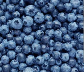 Fresh picked blueberries $20/ gallon