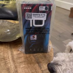 Brand new GOPRO Hero 10 Adventure pack