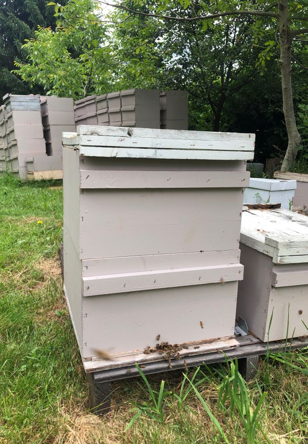 New bee boxes for Sale in Auburn, WA OfferUp