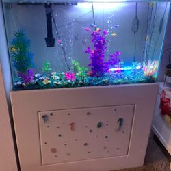 Fish Tank 