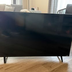 Vizio 44in TV 