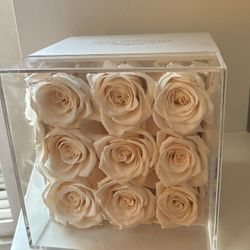 Rose Arrangement