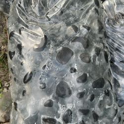 Large Black Polished Pebbles - Bag