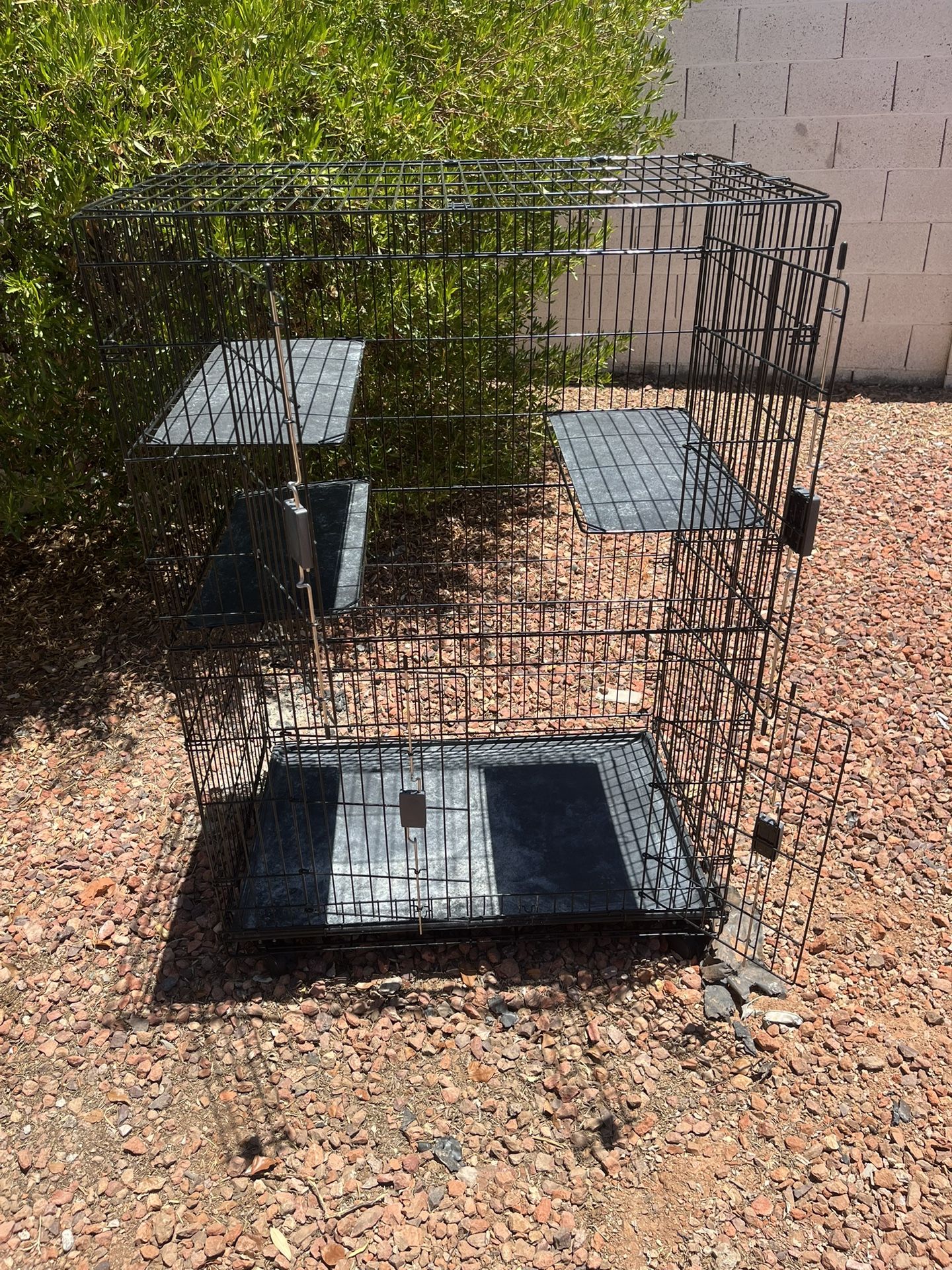 Kennel