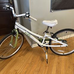 ByK E-450 Kid's Bike, 20 in wheels, 10 inch frame, for Boys and Girls, Blue or Lime Green