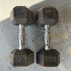 20 lbs Dumbbells 