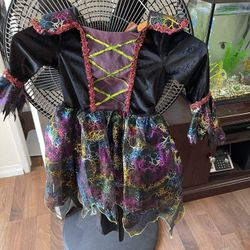 Girls Toddler Witch Costume 4T