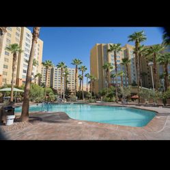 Vegas Trip