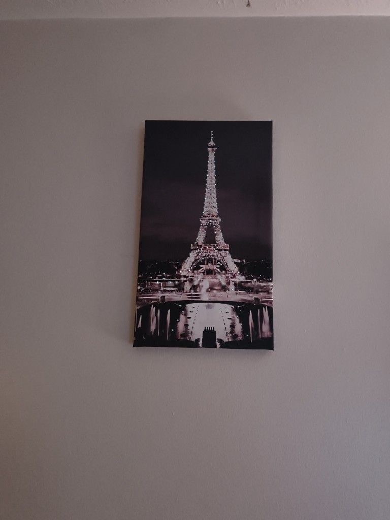 Paris Canvas Picture