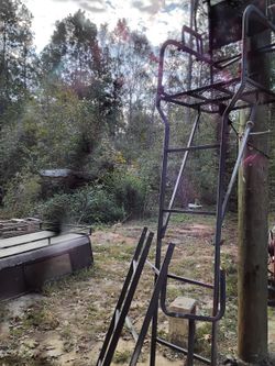 Deer Feeder And Stan