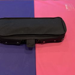 1/2 volin case with two used bow
