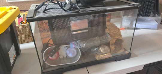 10 gallon reptile tank