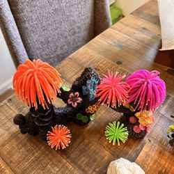 Various Aquarium Pieces