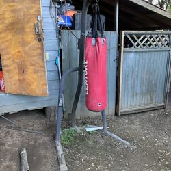 Punching Bag 