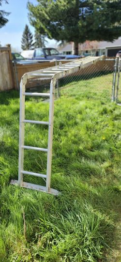 Warner 16 Position Folding Ladder