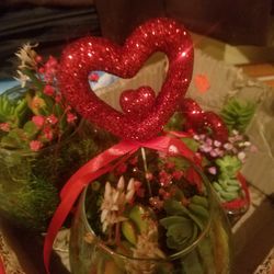 Beautiful Set Of Plants Third Not Only Easy To Take Care Of But Means So Much During Valentine's Because You're Giving Another Life A Chance