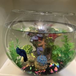 Large Glass Bowl ONLY in Pristine Condition For Sale 