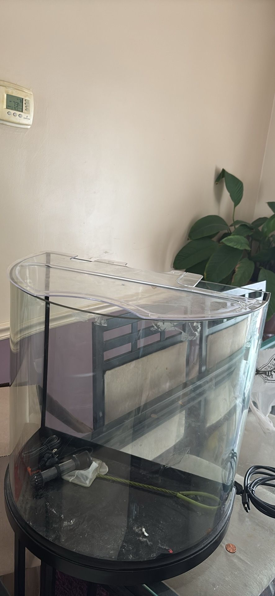 Curved Glass Fish Tank with Heater – Never Used