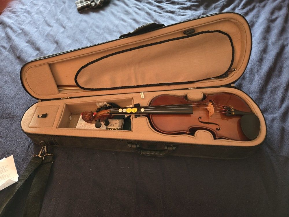 Palatino Vn35
