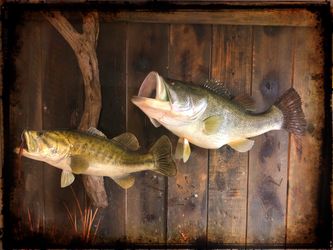 Largemouth Bass Reproduction Mounts