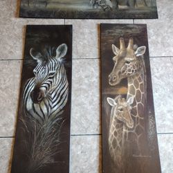 Safari Pictures
