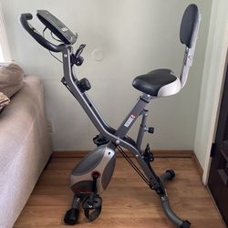 Sunny Exercise Bike
