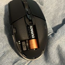 Brand New Mouse