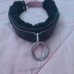 Leather Collar With O-ring