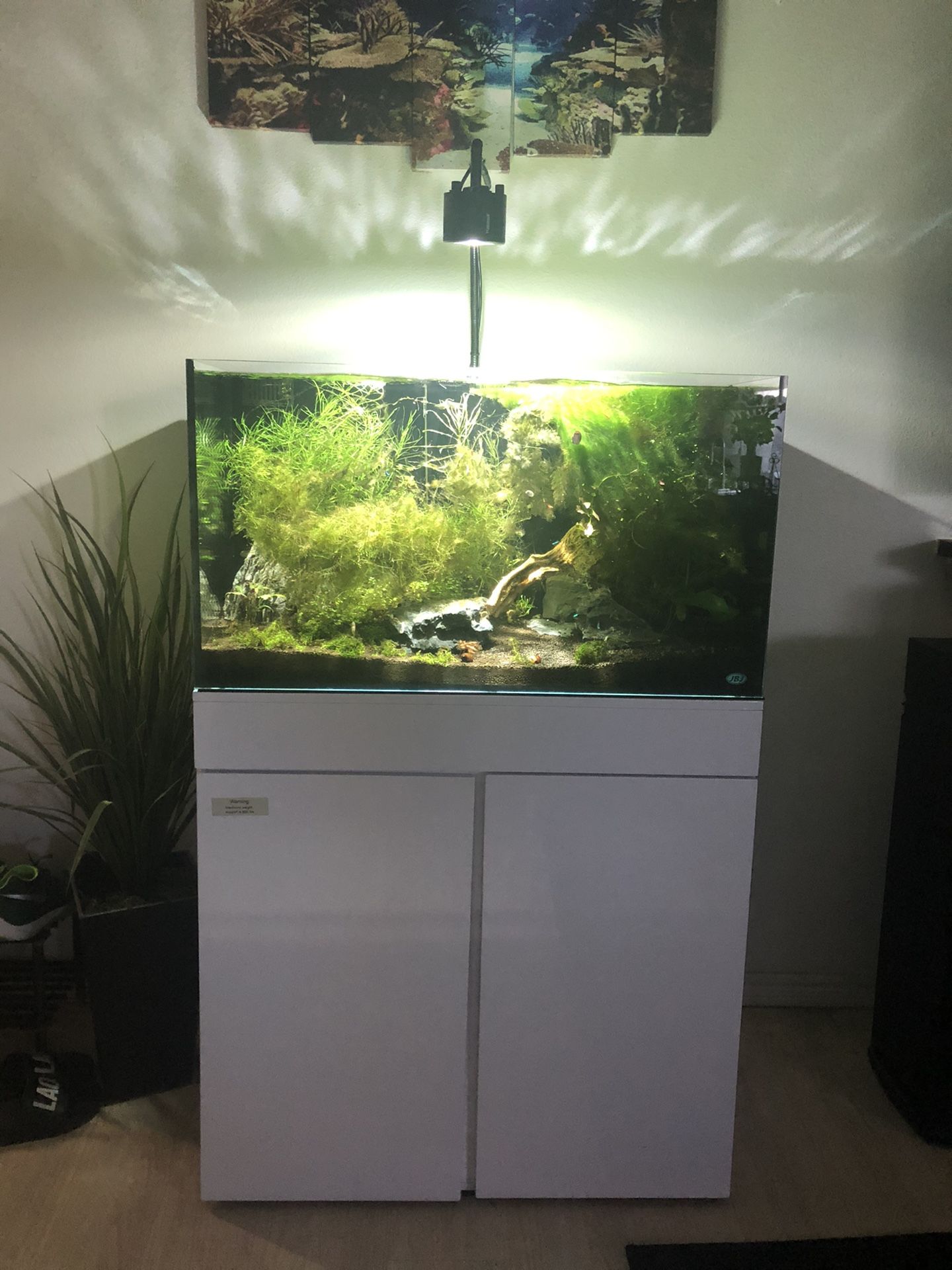 JBJ 65 Gallon Rimless Fish Tank And Stand