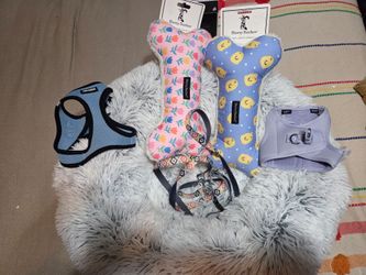 Fre small dog supplies