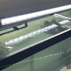 Light For 55 Gallon Fish Tank