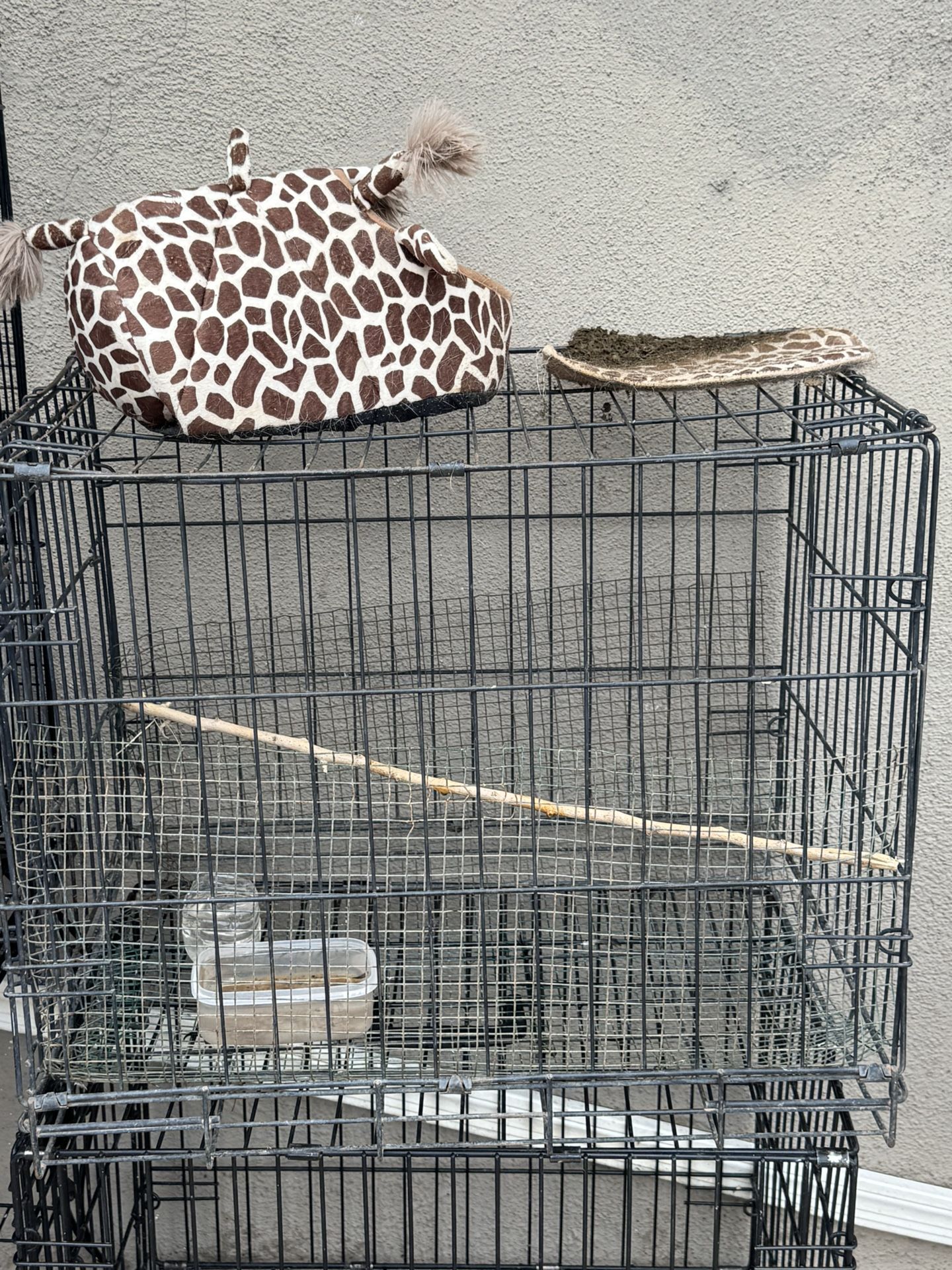 Bird Cage