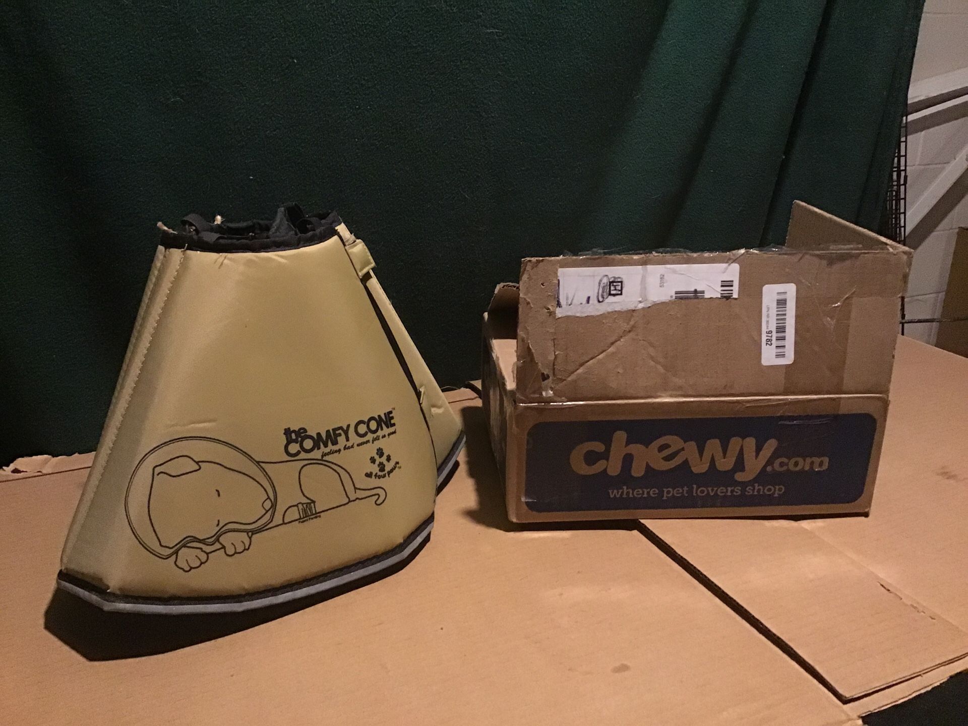 Dog cone
