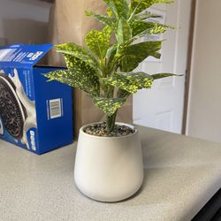 Fake Plant