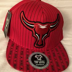 Chicago Bulls SnapBack hat