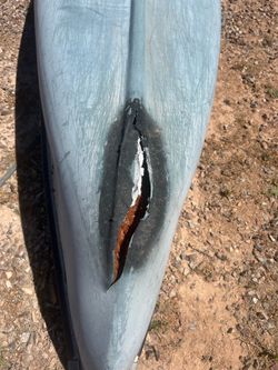 Canoe free with paddles