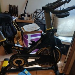 Exercise Bike And Mamaroo Baby Swing Both New