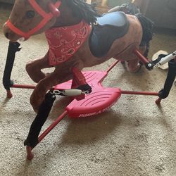 Riding Horse 