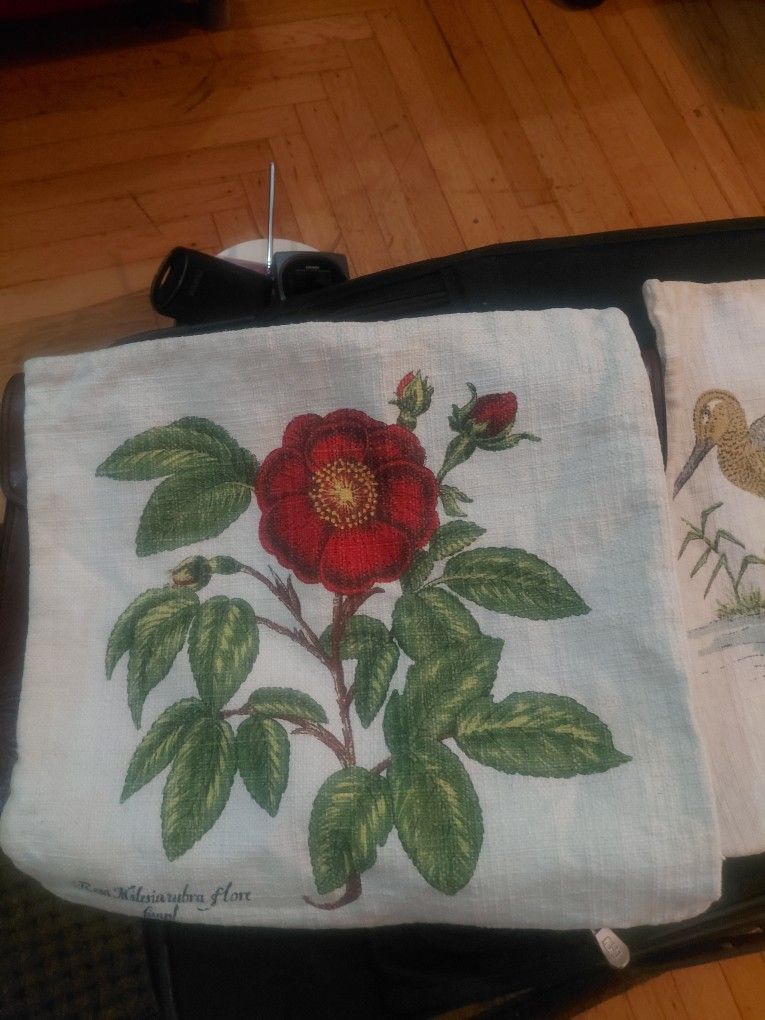 Embroided Decor Pillow