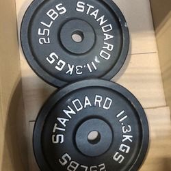 25 pound plate set cast iron