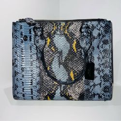 Coach Snake Skin Purse