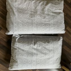 Brand New Pet Beds - $10 Each