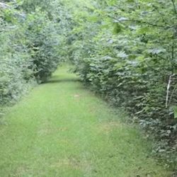 Mineral Parcel I H Two Left They're Located On Gibson County